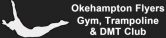 Okehampton Flyers