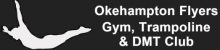 Okehampton Flyers